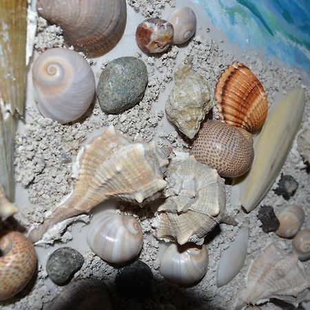 Seashell Art Decor Studio & Parking Влёра Экстерьер фото